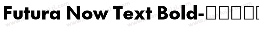 Futura Now Text Bold字体转换